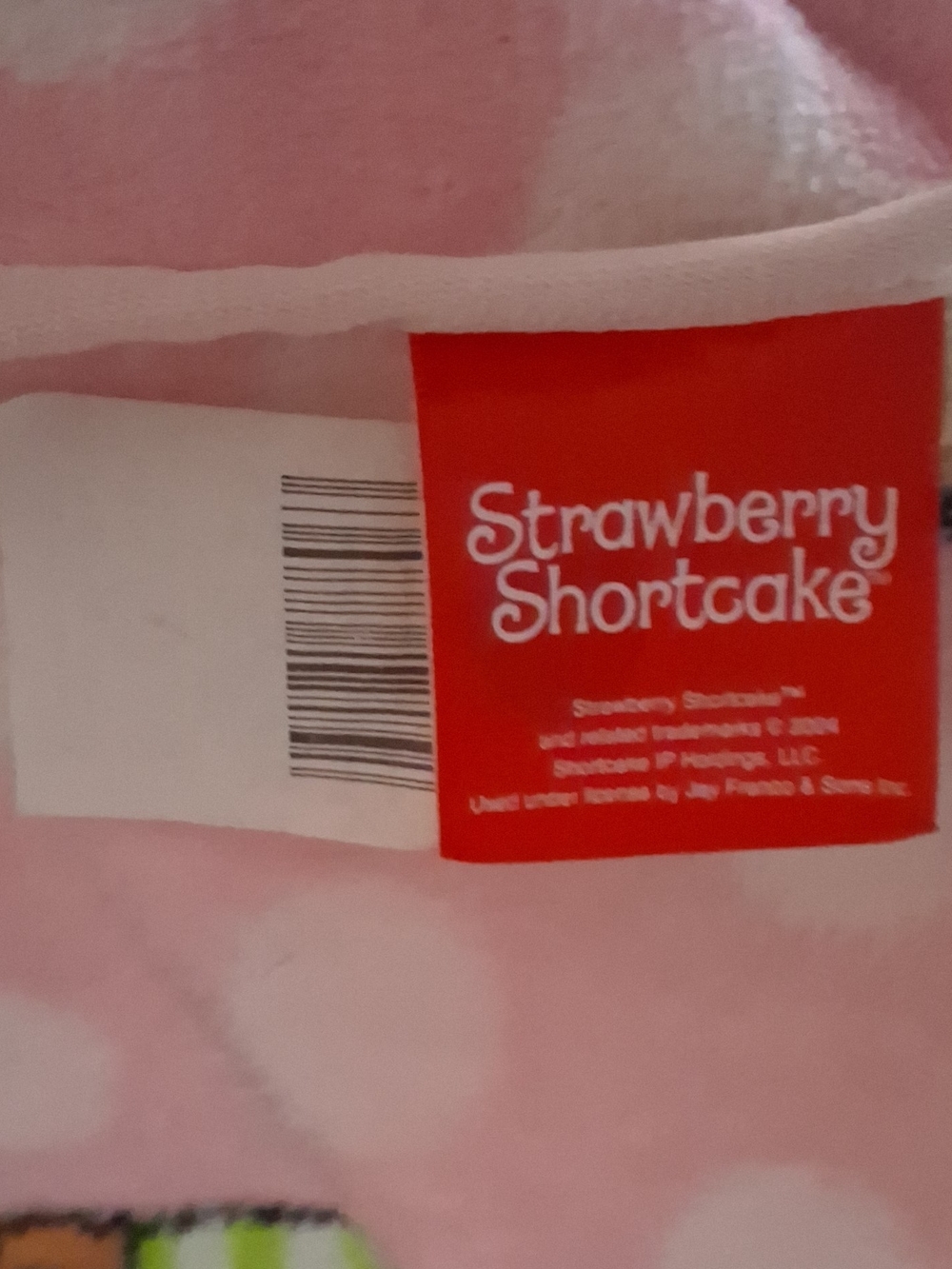 Strawberry Shortcake Pink Plush Throw Blanket
